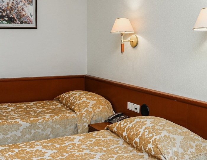 Комфорт 2-местный ПОДСЕЛЕНИЕ - Санаторий Алтай-West / Алтай-Вест Белокуриха